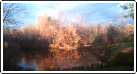 The Pond at our Farmhouse