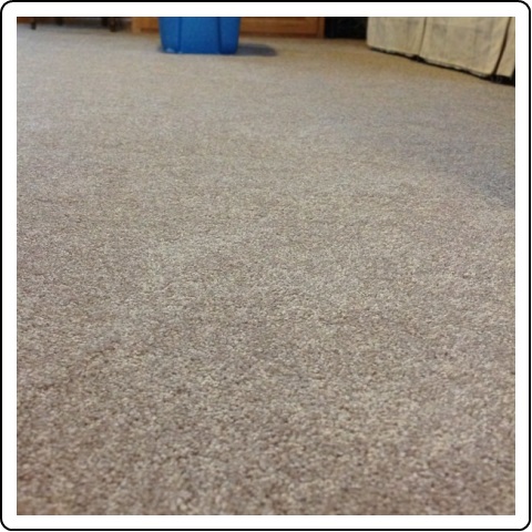Carpet4