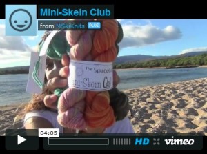 Singlehanded Knits talks about the SpaceCadet's Mini-Skein Club