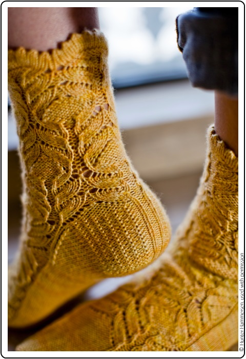 Chrysanthemum frutescens Sock by Hunter Hammersen