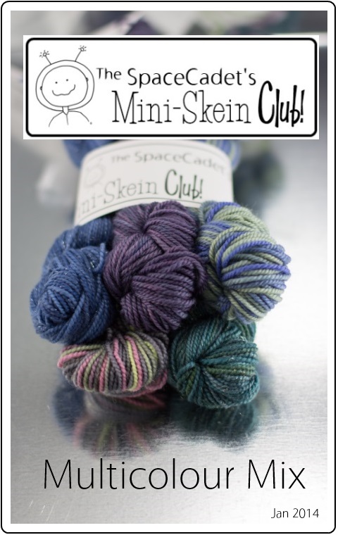 The SpaceCadet's Mini-Skein Club, Multicolour Jan 2014