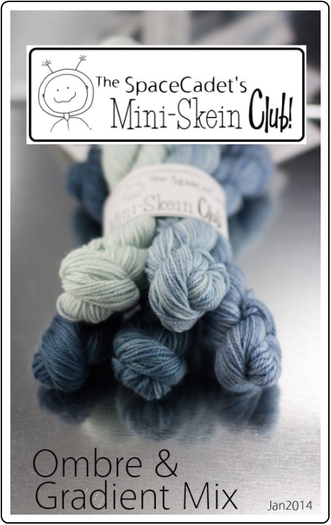 The SpaceCadet's Mini-Skein Club, Ombre & Gradient Jan 2014