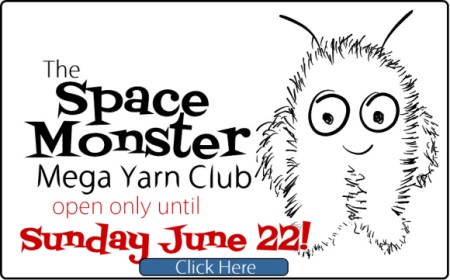 The SpaceCadet's SpaceMonster Mega Yarn Club is open until June 22 only!