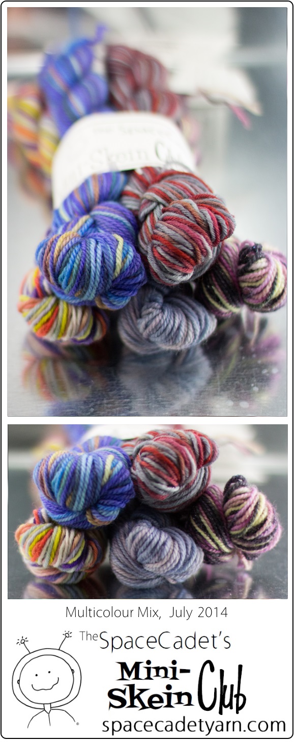 The SpaceCadet's Mini-Skein Club, Multicolour Mix, July 2014