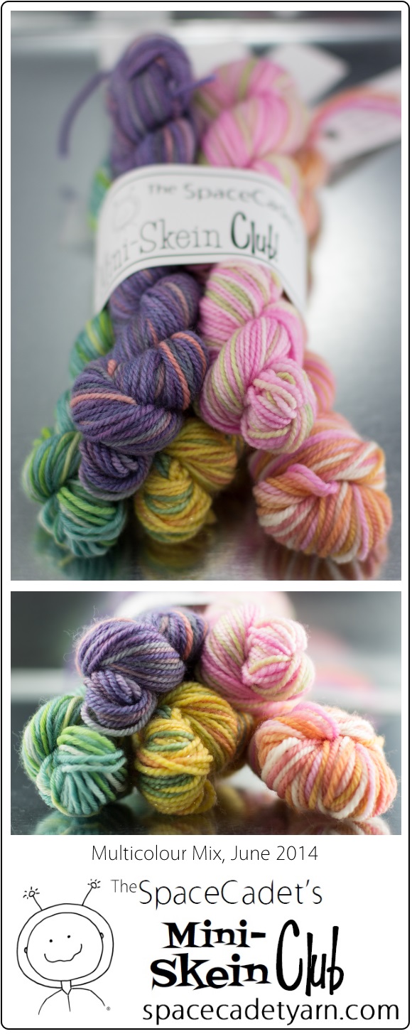 The SpaceCadet's Mini-Skein Club, Multicolour Mix, June 2014