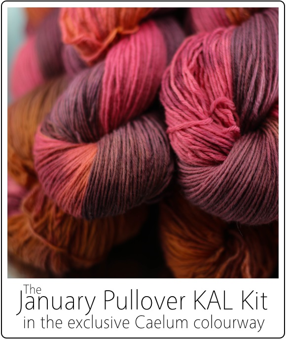 January Pullover KAL Kit by SpaceCadet for the January Pullover by Jenise Reid 02