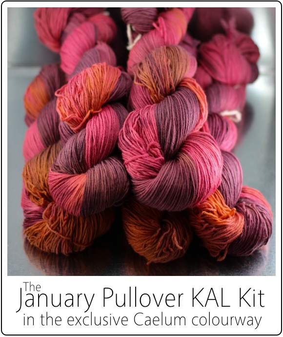 January Pullover KAL Kit by SpaceCadet for the January Pullover by Jenise Reid 05