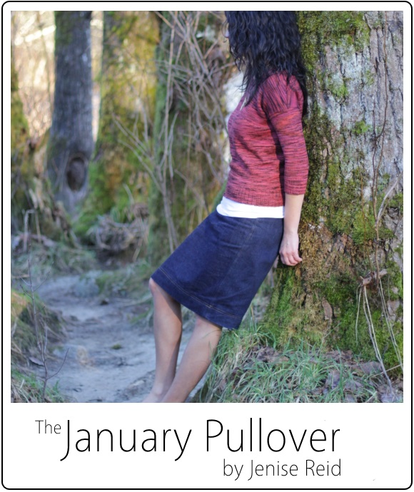 January Pullover by Jenise Reid 05