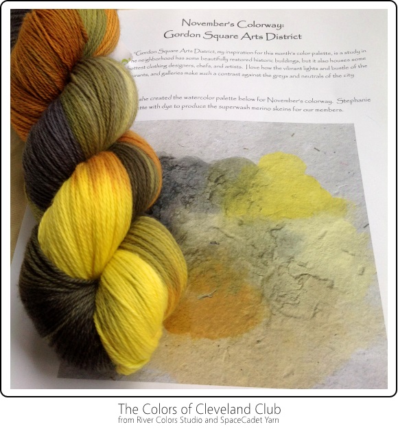 The Colors of Cleveland Club from River Colors Studio and SpaceCadet Yarn -- November's Colourway