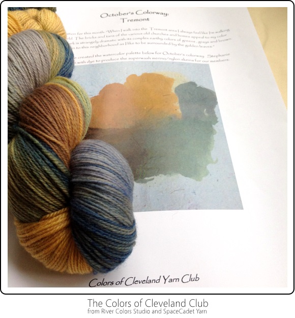 The Colors of Cleveland Club from River Colors Studio and SpaceCadet Yarn -- October's Colourway