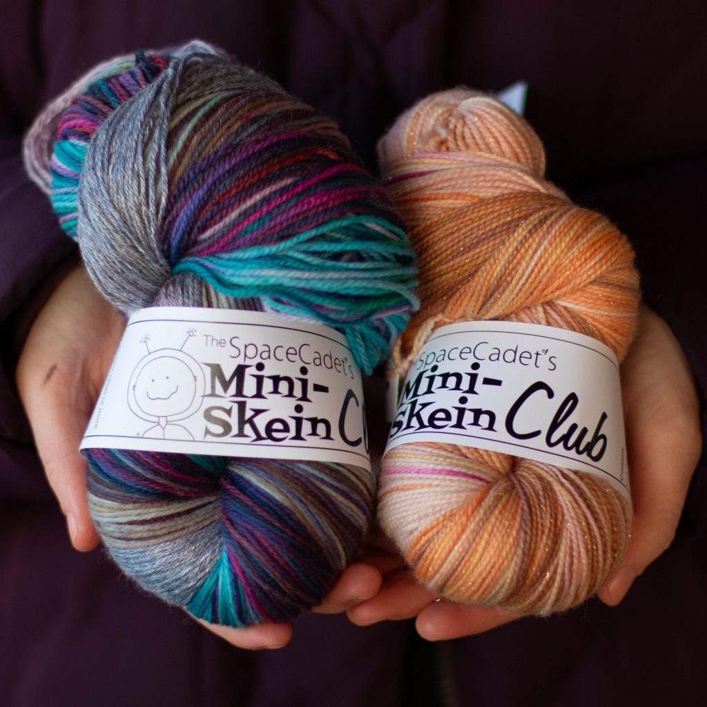 The SpaceCadet's Mini-Skein Club - SpaceCadet Hand-dyed Yarns